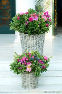 A_beach_wedding_with_splurges_of_bougainvillea_13 5