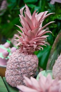 pineapples_and_tropics_christening_rpsevents_14 5